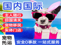 阿荣机场托运国际宠物托运 【国